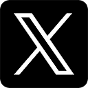 公式X